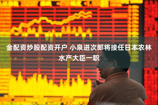 金配资炒股配资开户 小泉进次郎将接任日本农林水产大臣一职