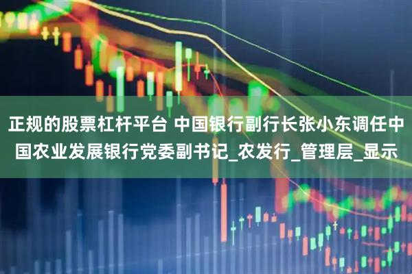 正规的股票杠杆平台 中国银行副行长张小东调任中国农业发展银行党委副书记_农发行_管理层_显示