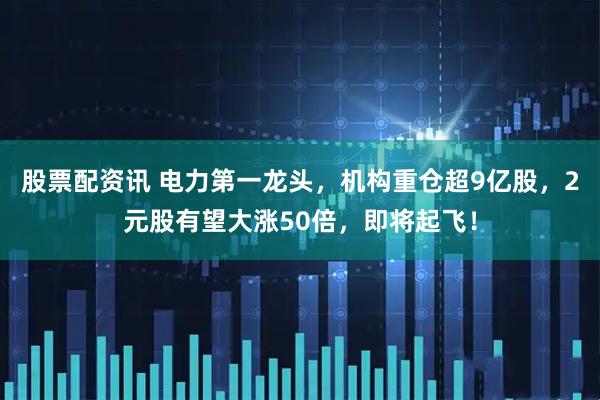 股票配资讯 电力第一龙头，机构重仓超9亿股，2元股有望大涨50倍，即将起飞！